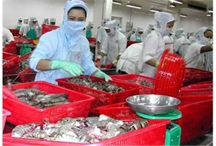 Fisheries exhibition attracts local, foreign businesses